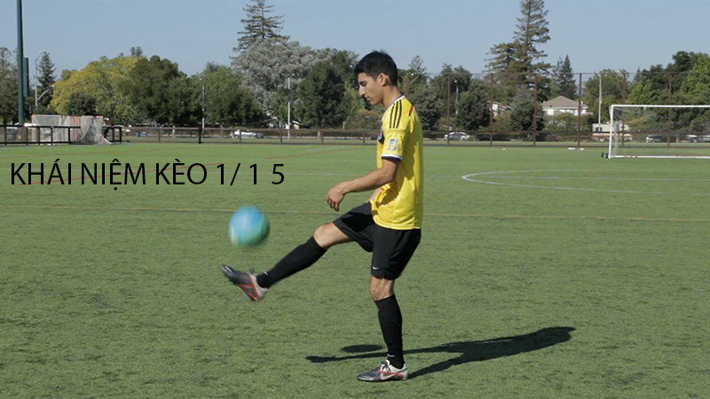 Kèo 1/1.5 Là Gì? Kinh Nghiệm Đặt Kèo Hiệu Quả 1 Khái niệm kèo 1/1.5